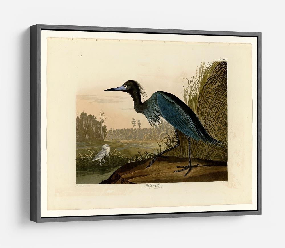 Blue Crane by Audubon HD Metal Print - Canvas Art Rocks - 9