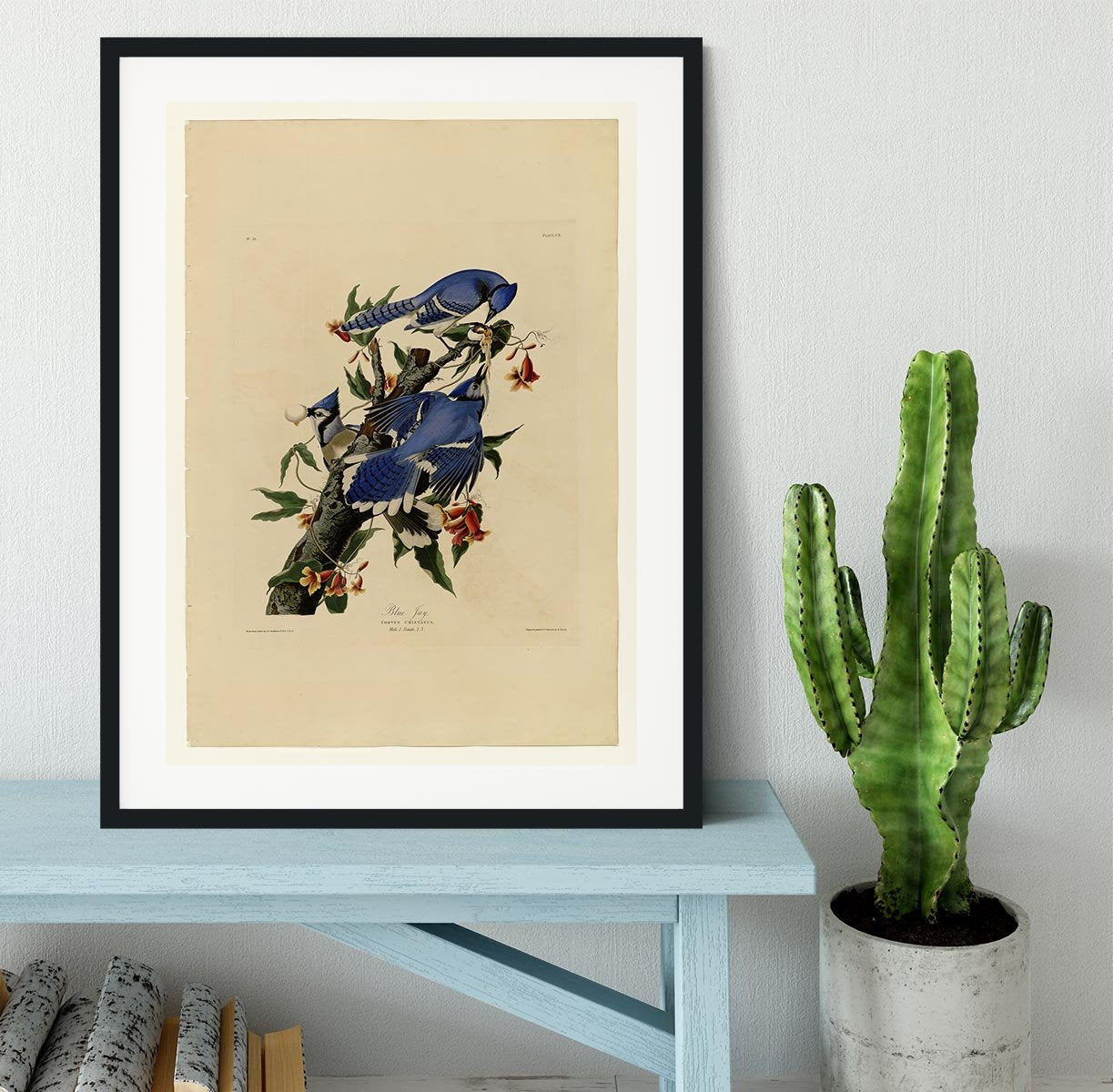 Blue Jay by Audubon Framed Print - Canvas Art Rocks - 1