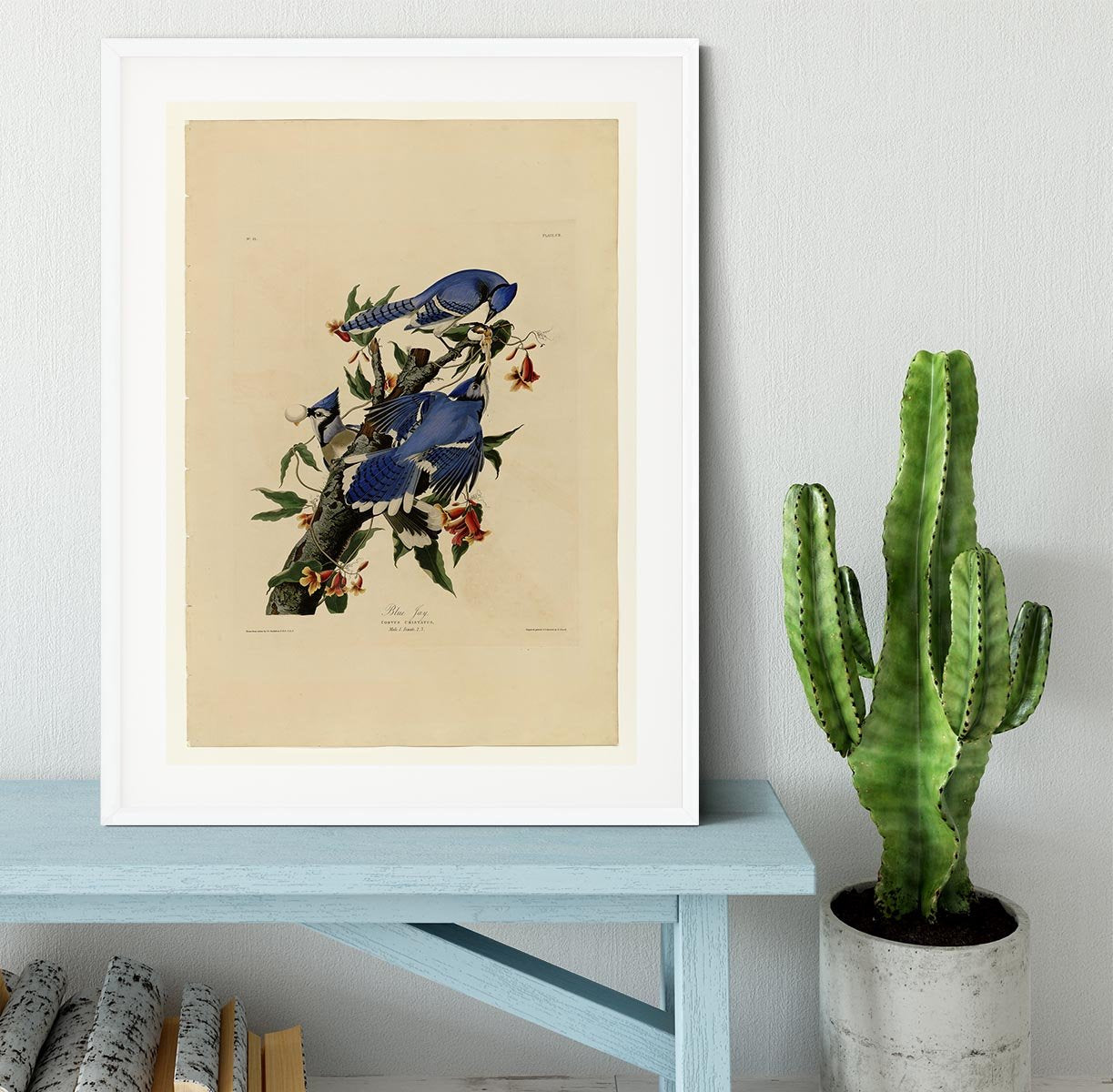 Blue Jay by Audubon Framed Print - Canvas Art Rocks - 5