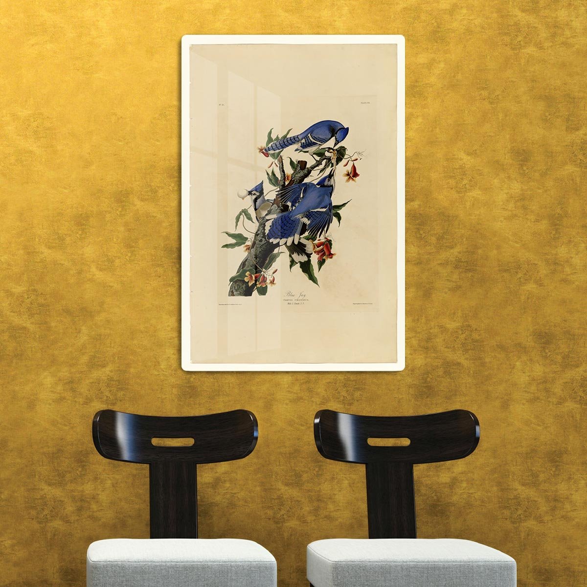Blue Jay by Audubon HD Metal Print - Canvas Art Rocks - 2