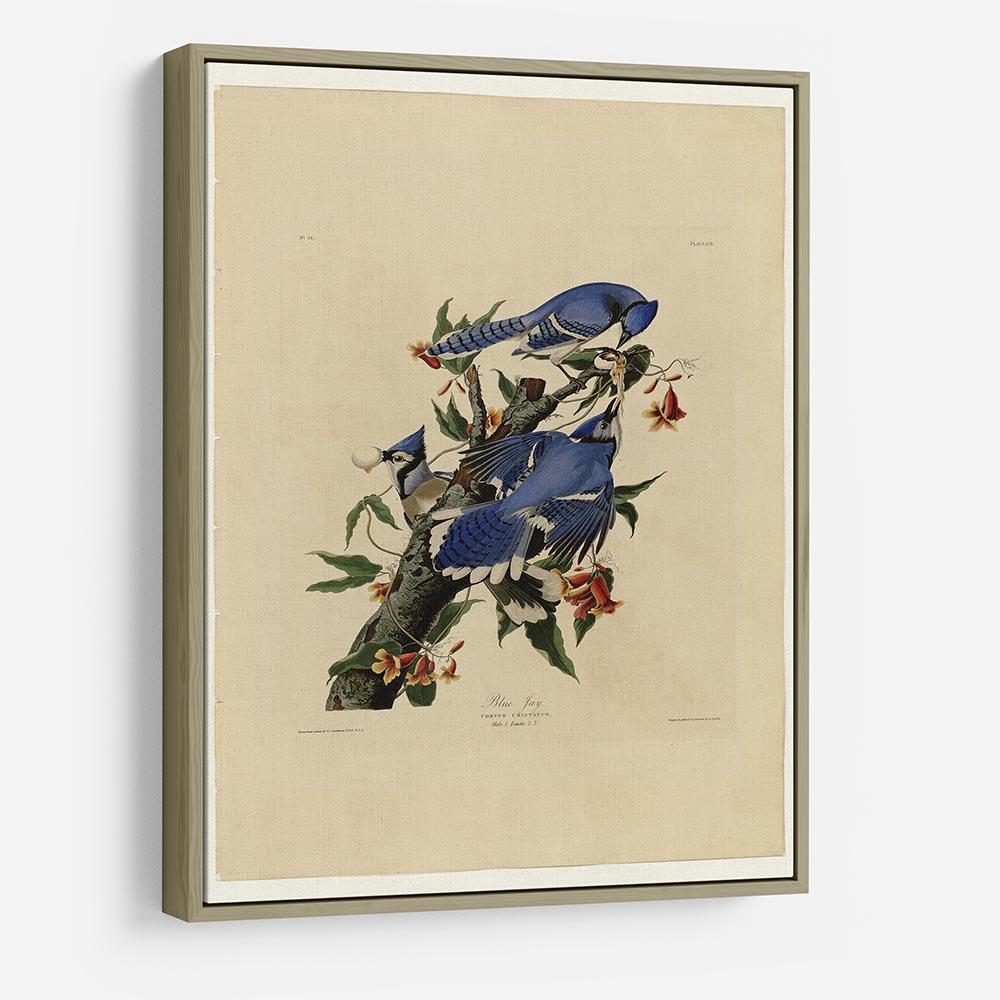 Blue Jay by Audubon HD Metal Print - Canvas Art Rocks - 8