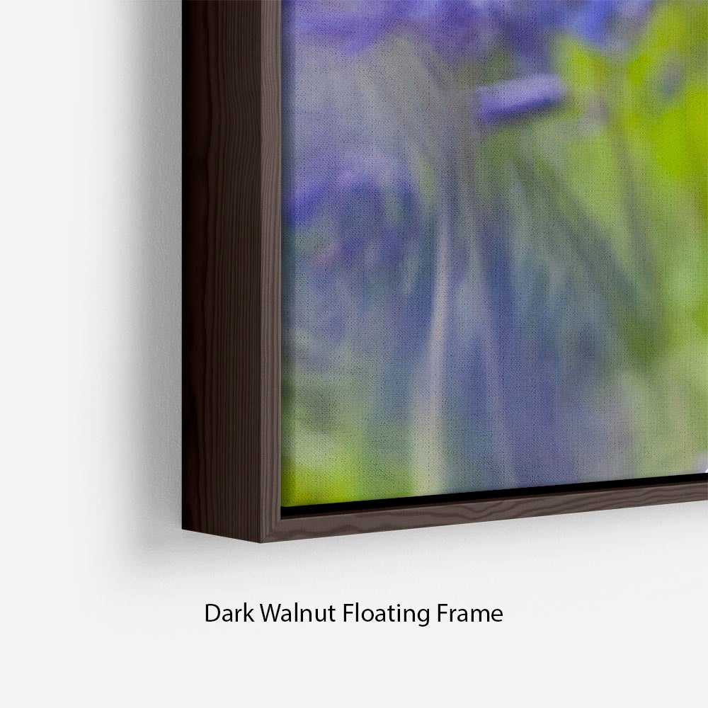 Bluebells Floating Frame Canvas - Canvas Art Rocks - 6