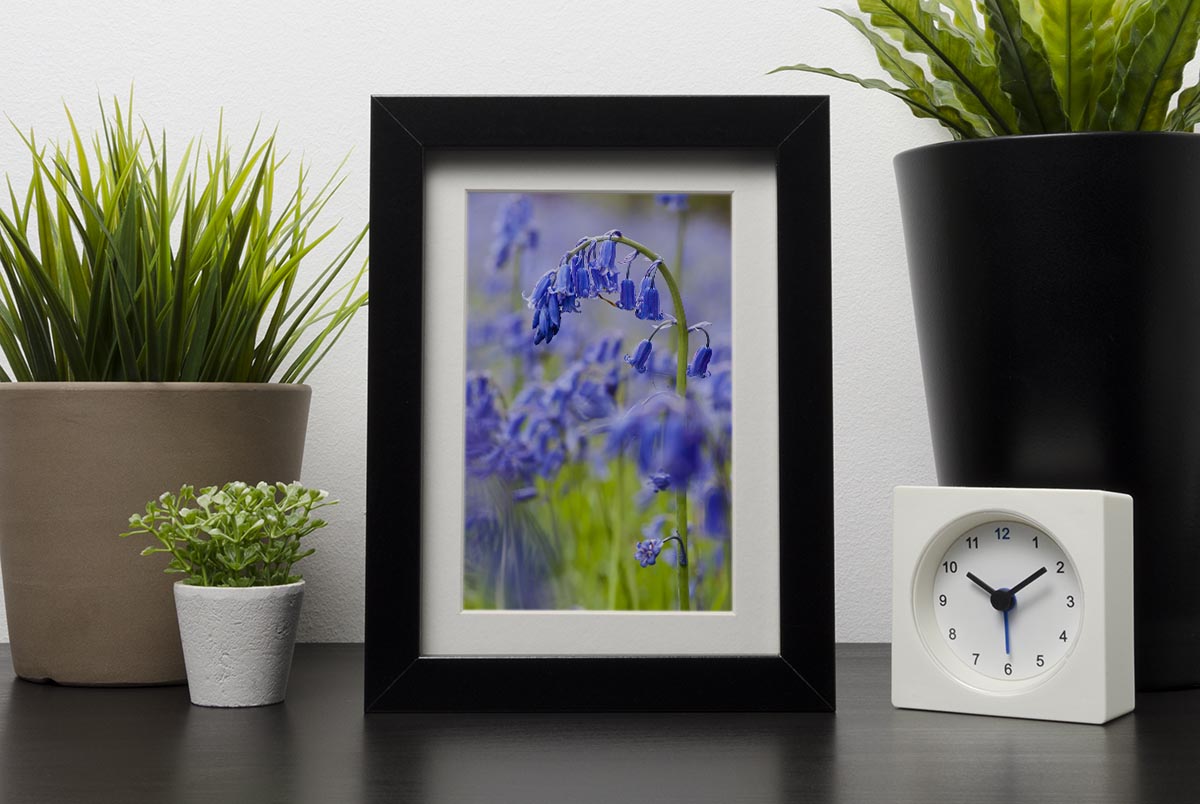 Bluebells Framed Print - Canvas Art Rocks - 1