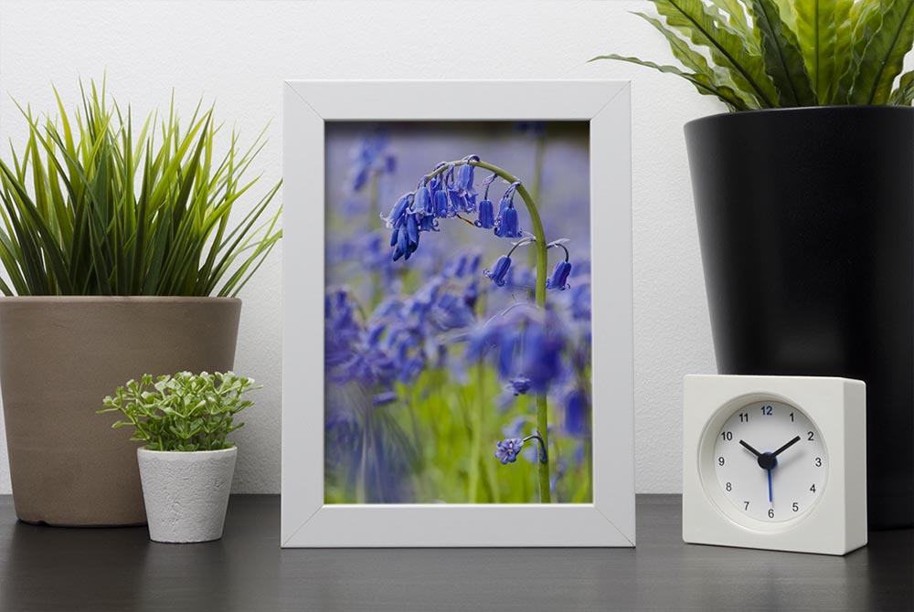 Bluebells Framed Print - Canvas Art Rocks - 4