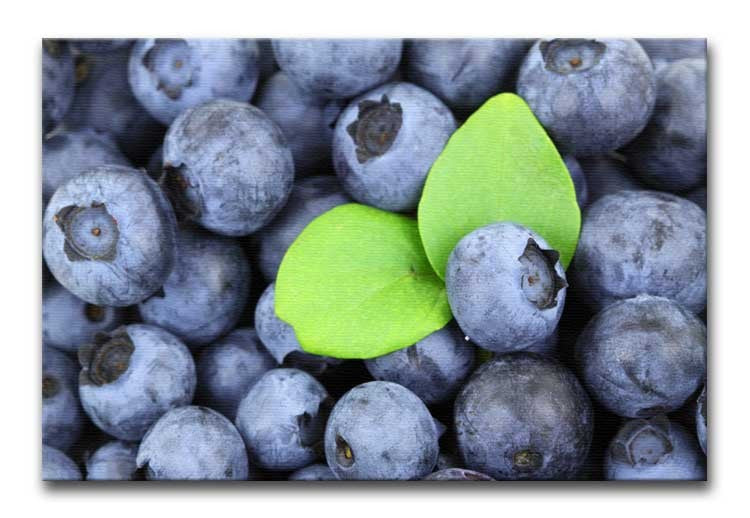 Blueberries Print - Canvas Art Rocks - 1