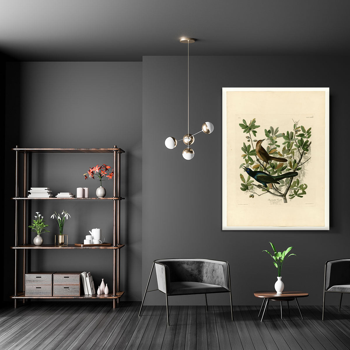 Boat tailed Grackle by Audubon Canvas Print or Poster - Canvas Art Rocks - 5