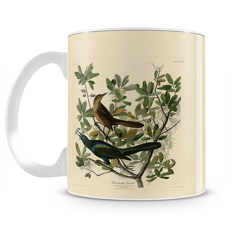 Boat tailed Grackle by Audubon Mug - Canvas Art Rocks - 1