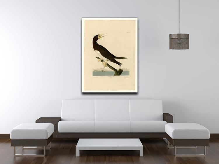 Booby Gannet by Audubon Canvas Print or Poster - Canvas Art Rocks - 4