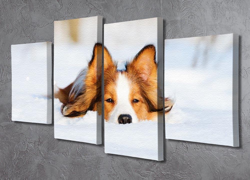 Border collie puppy 1 year old in winter 4 Split Panel Canvas - Canvas Art Rocks - 2