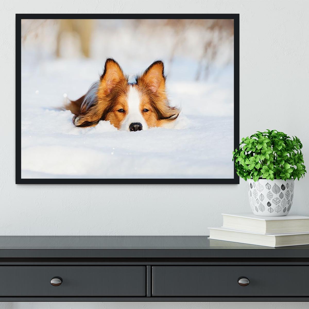 Border collie puppy 1 year old in winter Framed Print - Canvas Art Rocks - 2
