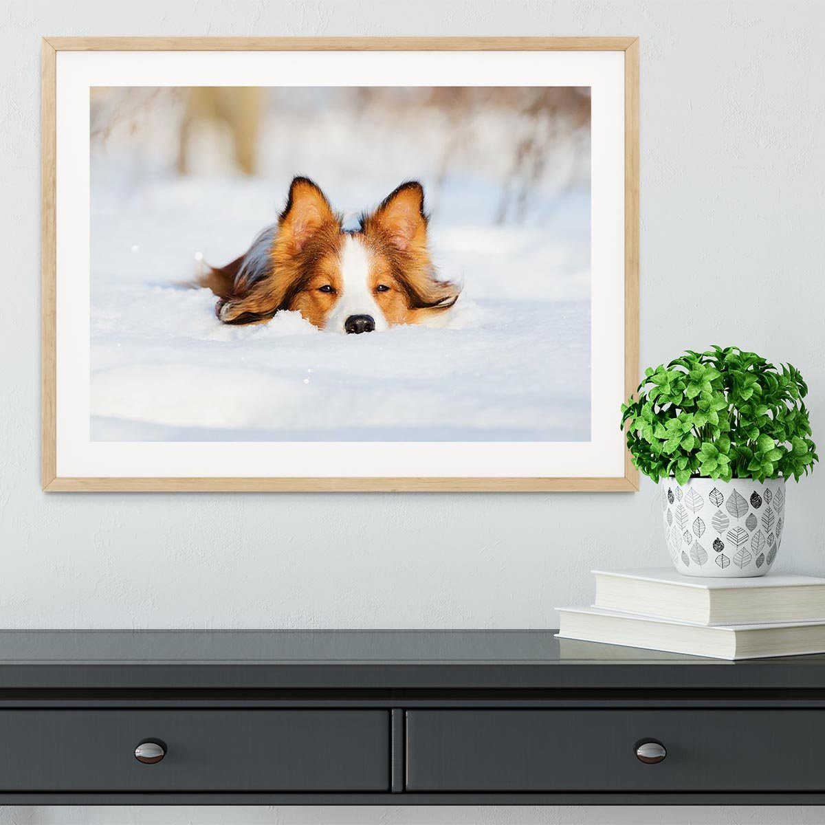 Border collie puppy 1 year old in winter Framed Print - Canvas Art Rocks - 3