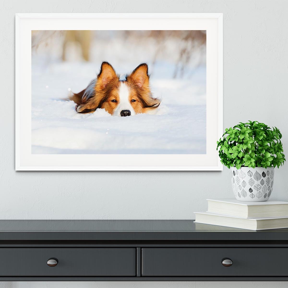 Border collie puppy 1 year old in winter Framed Print - Canvas Art Rocks - 5