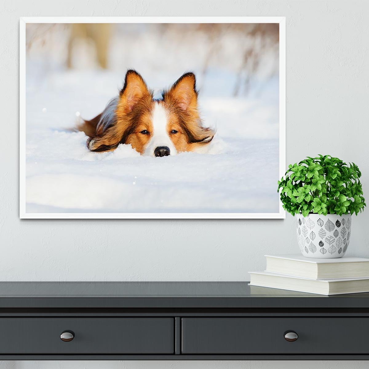 Border collie puppy 1 year old in winter Framed Print - Canvas Art Rocks -6