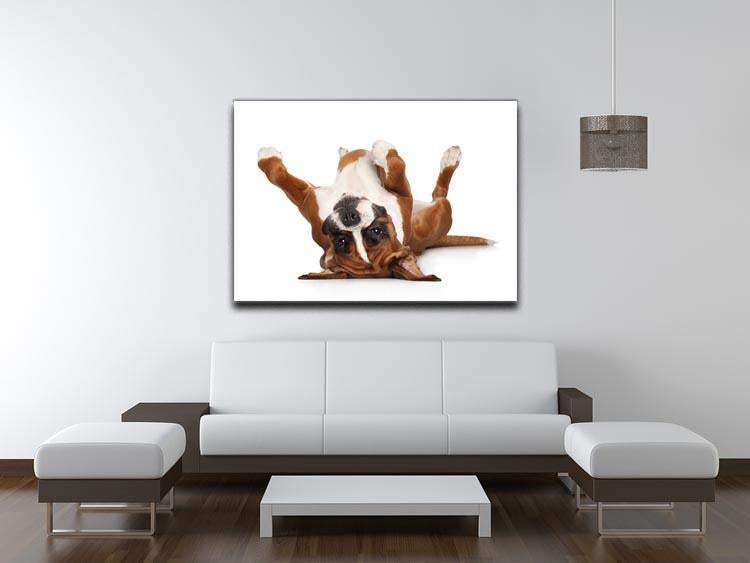 Boxer dog lying on his back Canvas Print or Poster - Canvas Art Rocks - 4