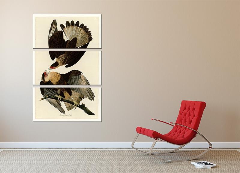 Brazilian Caracara Eagle by Audubon 3 Split Panel Canvas Print - Canvas Art Rocks - 2