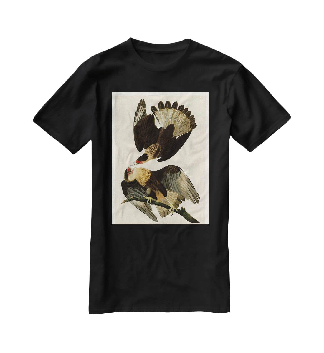 Brazilian Caracara Eagle by Audubon T-Shirt - Canvas Art Rocks - 1