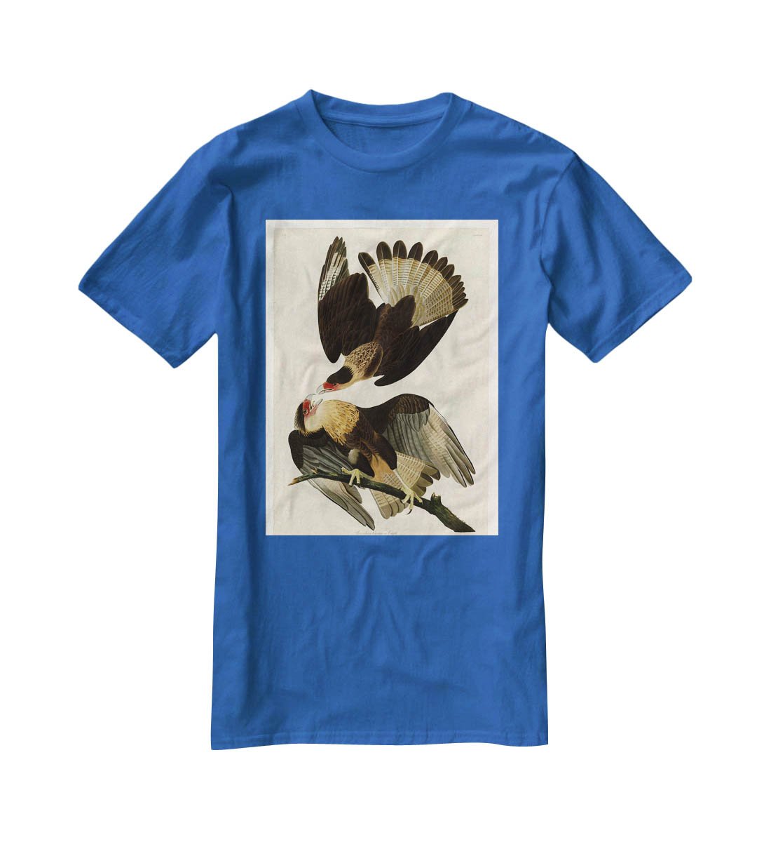 Brazilian Caracara Eagle by Audubon T-Shirt - Canvas Art Rocks - 2