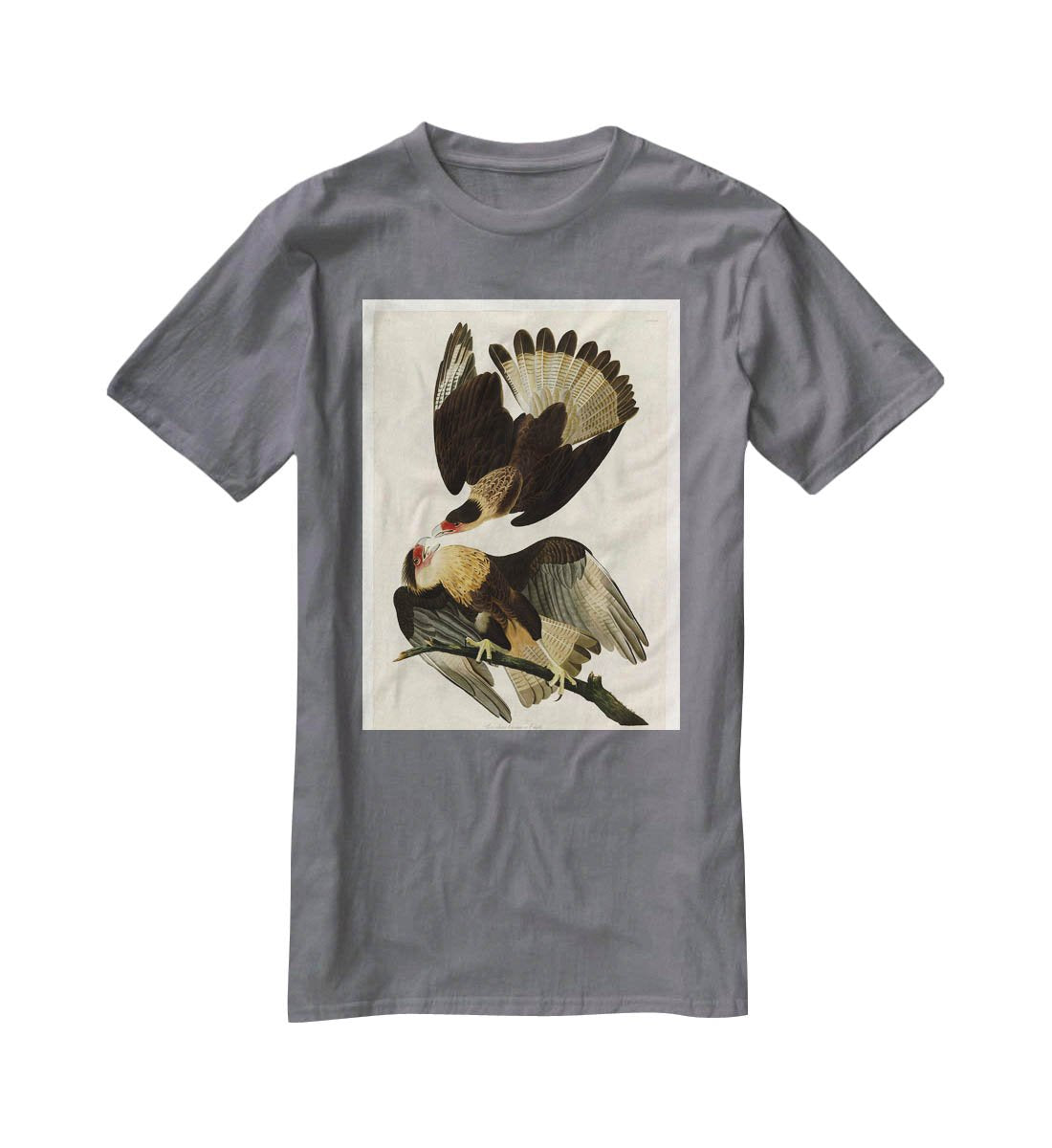 Brazilian Caracara Eagle by Audubon T-Shirt - Canvas Art Rocks - 3