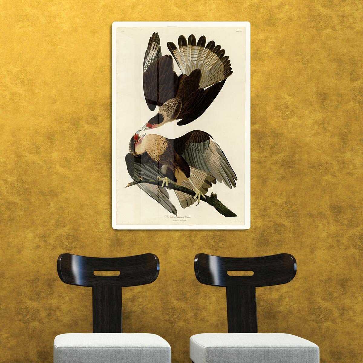 Brazilian Caracara Eagle by Audubon HD Metal Print - Canvas Art Rocks - 2