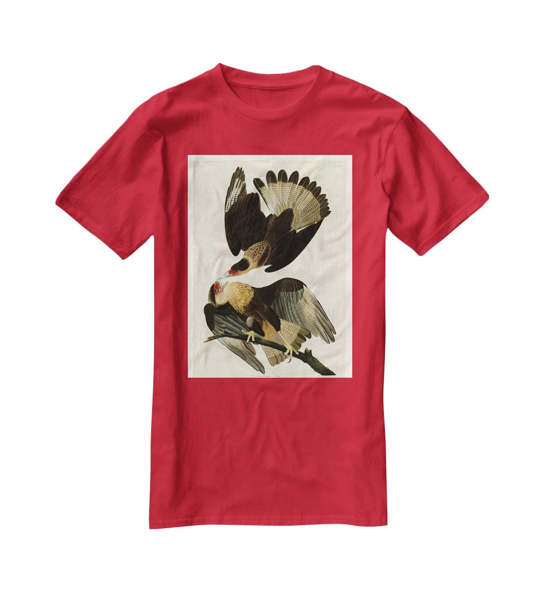 Brazilian Caracara Eagle by Audubon T-Shirt - Canvas Art Rocks - 4