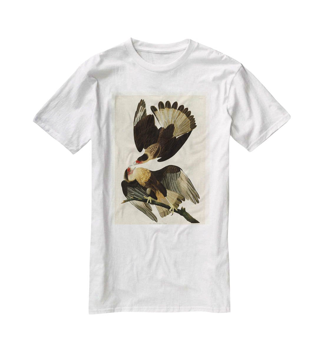 Brazilian Caracara Eagle by Audubon T-Shirt - Canvas Art Rocks - 5