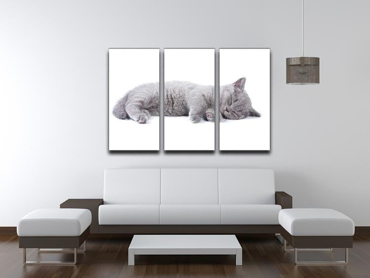 British kitten on white background 3 Split Panel Canvas Print - Canvas Art Rocks - 3