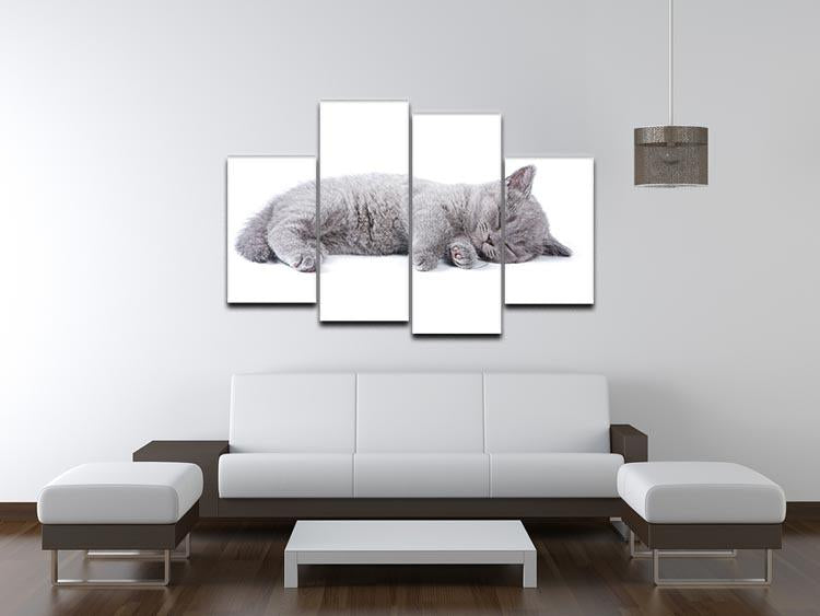 British kitten on white background 4 Split Panel Canvas - Canvas Art Rocks - 3