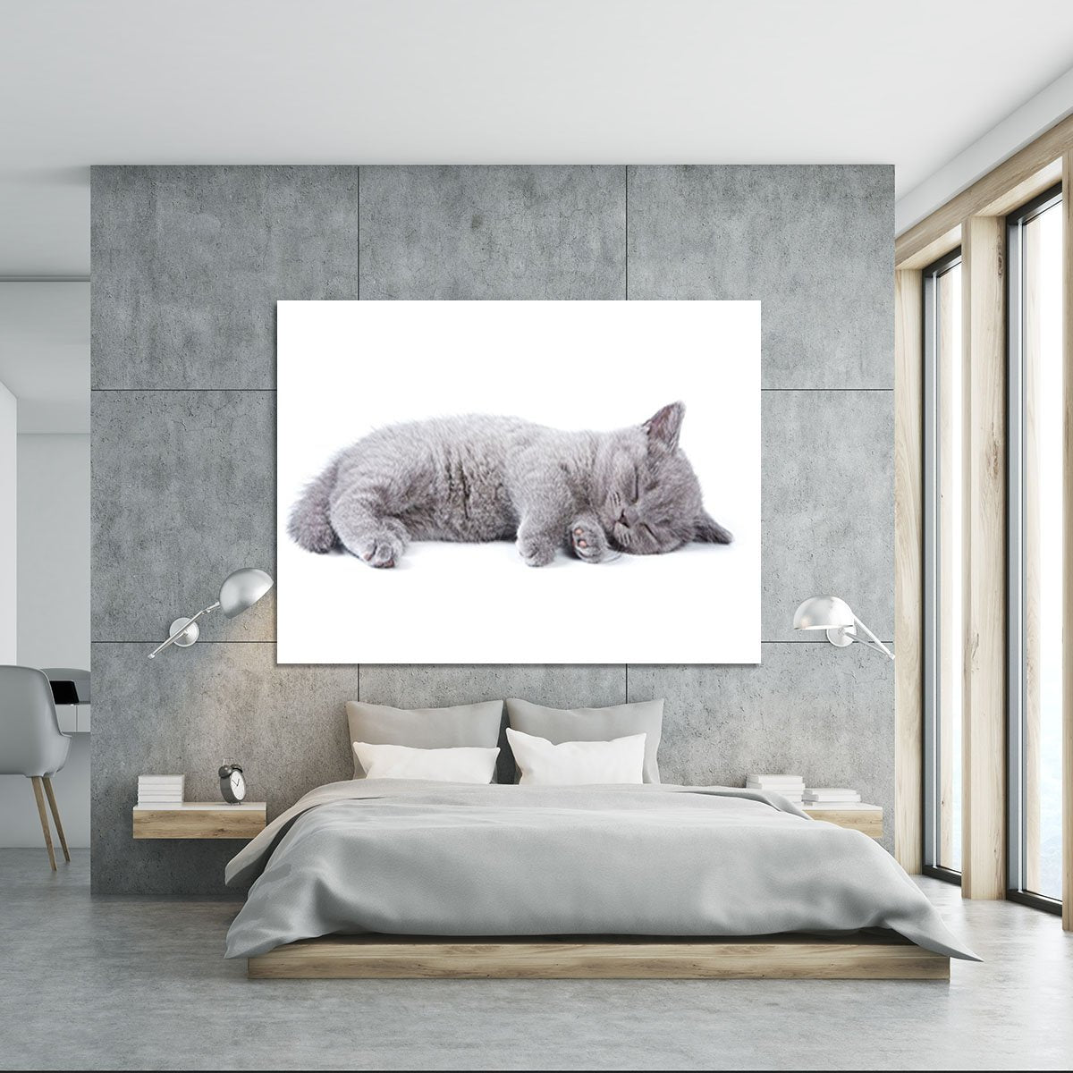 British kitten on white background Canvas Print or Poster