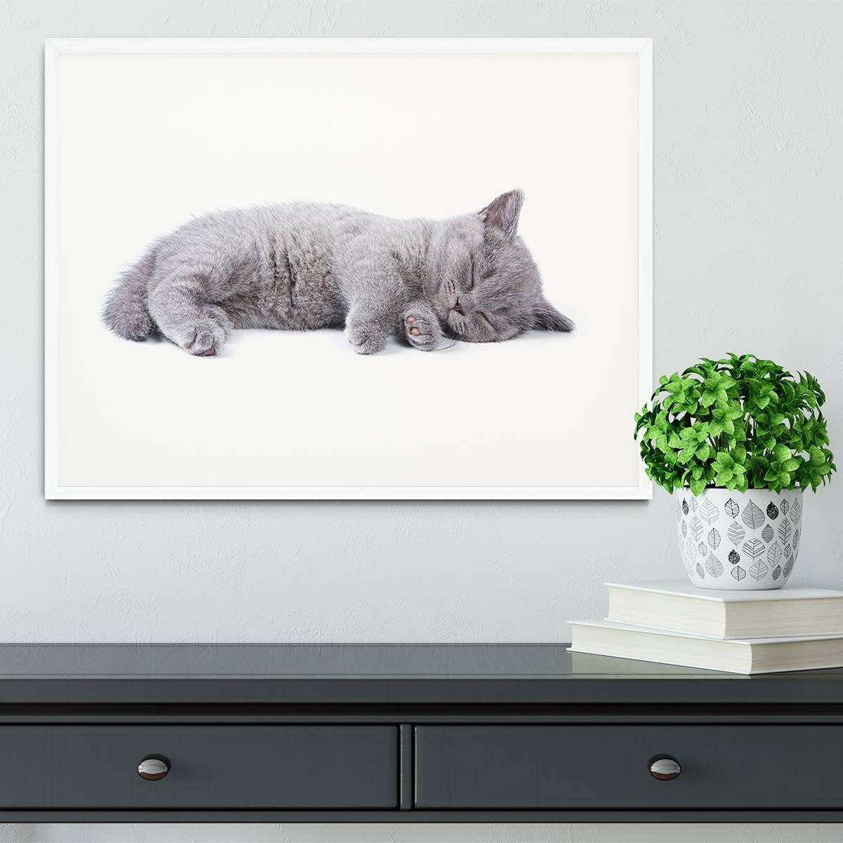 British kitten on white background Framed Print - Canvas Art Rocks - 5