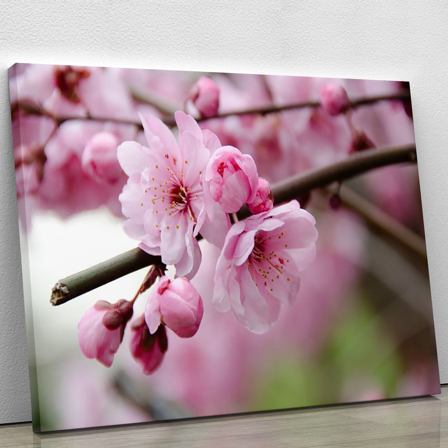 Broken blooming cherry branch Canvas Print or Poster - Canvas Art Rocks - 1
