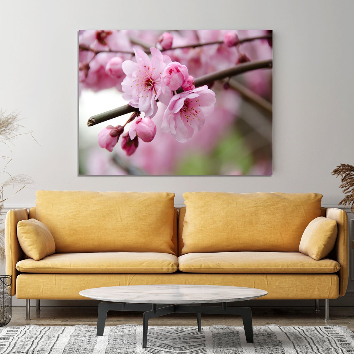 Broken blooming cherry branch Canvas Print or Poster
