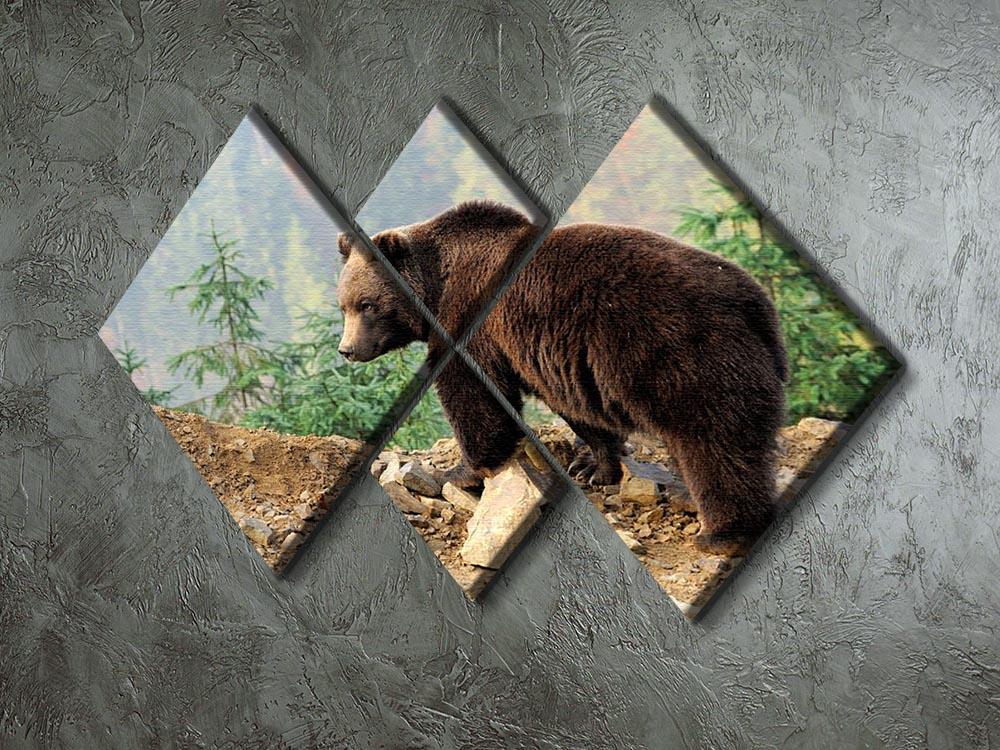 Brown Bear in forest 4 Square Multi Panel Canvas - Canvas Art Rocks - 2