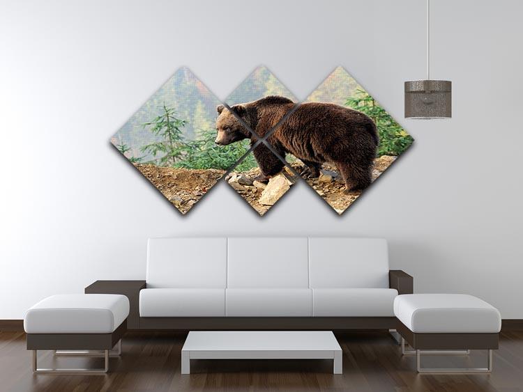 Brown Bear in forest 4 Square Multi Panel Canvas - Canvas Art Rocks - 3