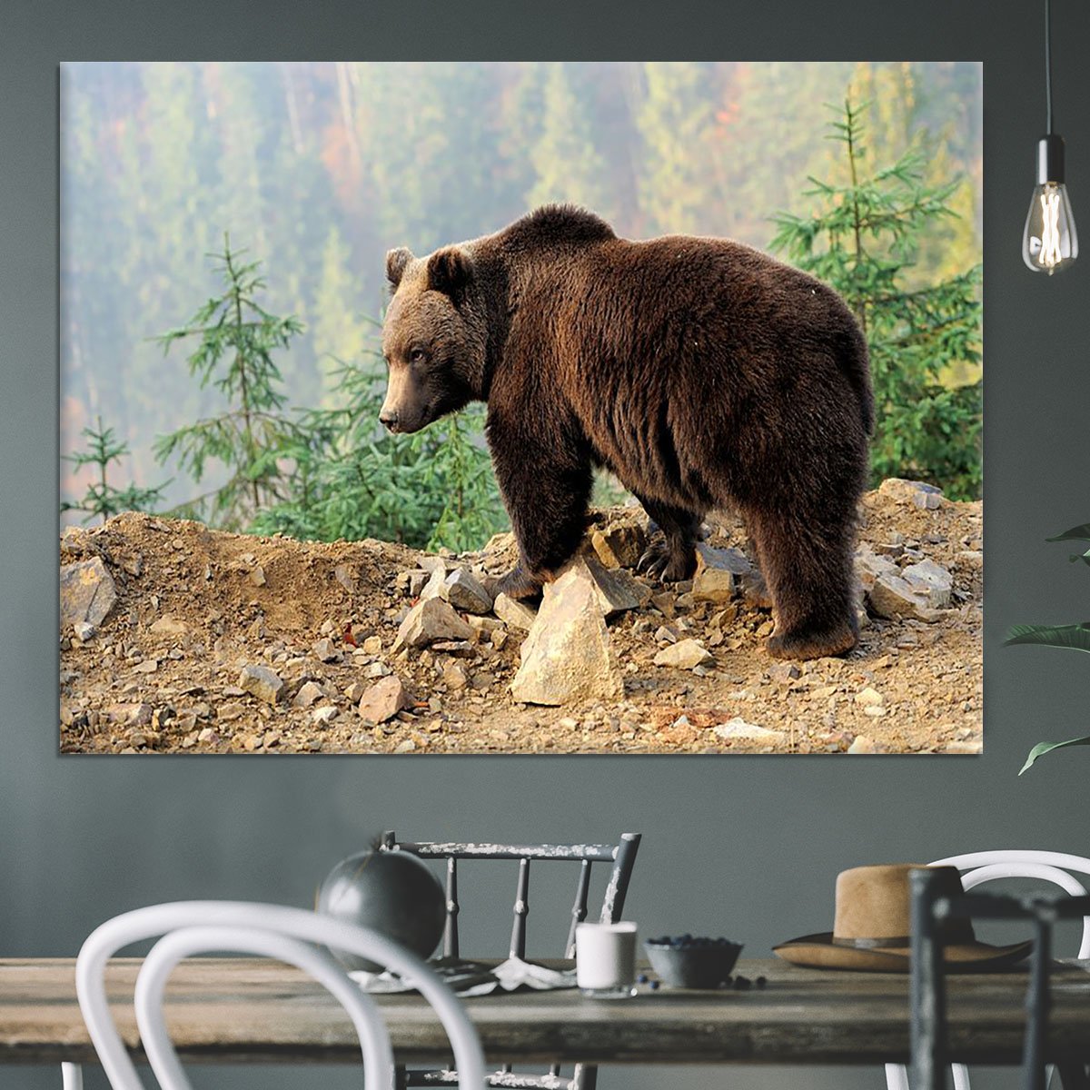 Brown Bear in forest Canvas Print or Poster