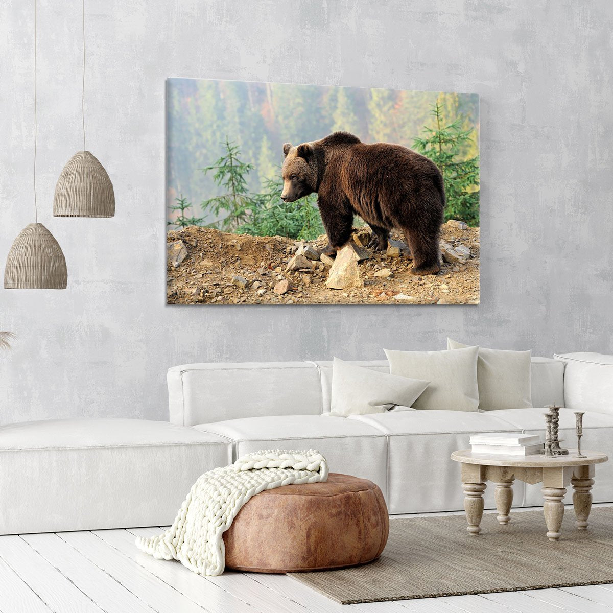 Brown Bear in forest Canvas Print or Poster
