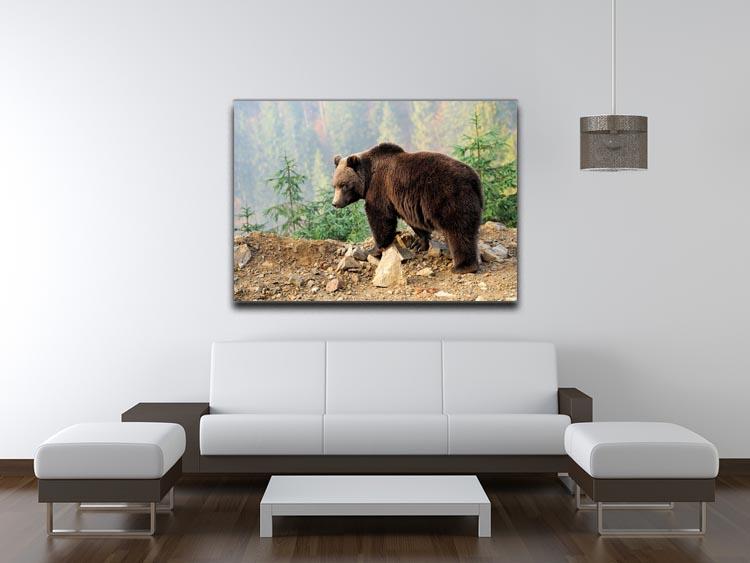 Brown Bear in forest Canvas Print or Poster - Canvas Art Rocks - 4