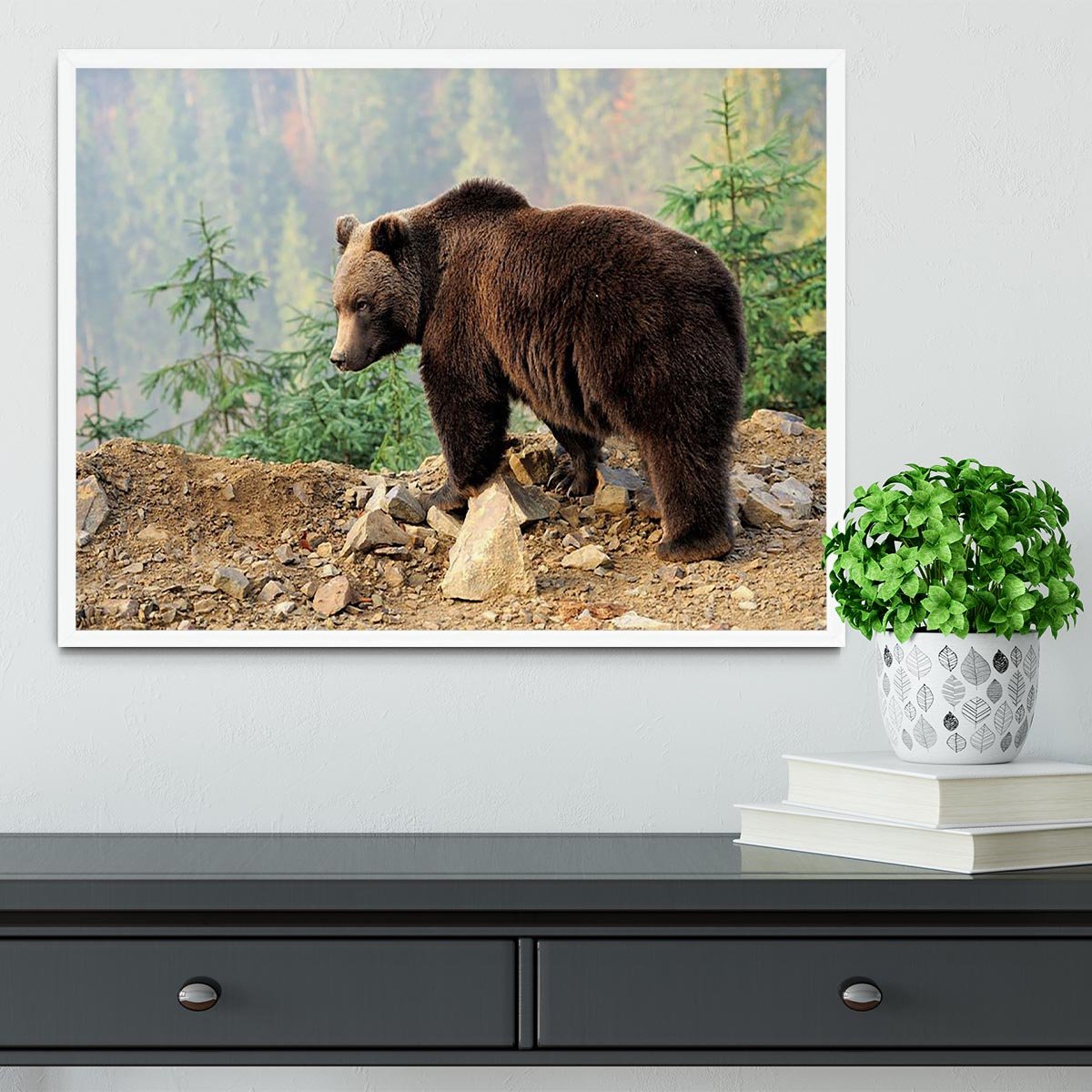 Brown Bear in forest Framed Print - Canvas Art Rocks -6
