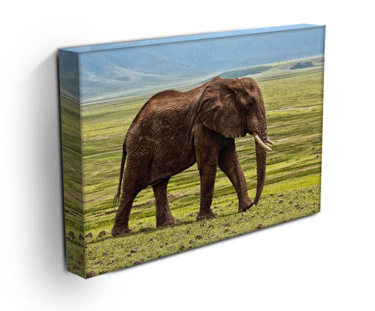 Brown Elephant Print - Canvas Art Rocks - 3