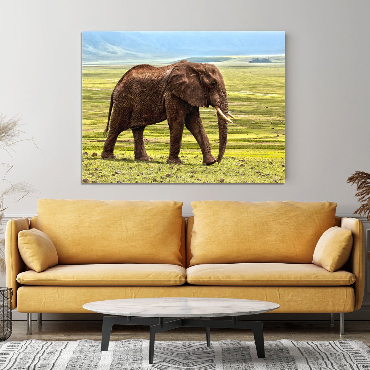 Brown Elephant Canvas Print or Poster