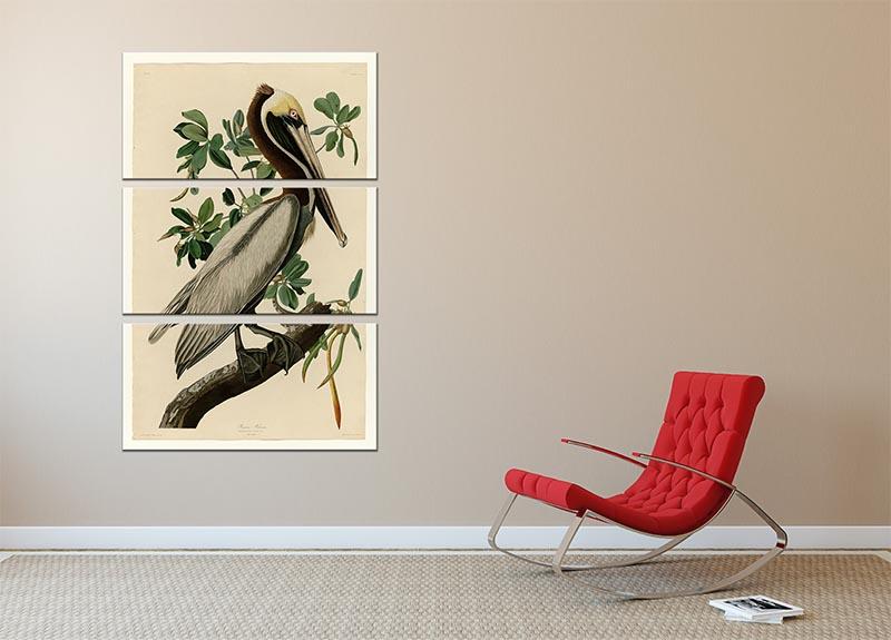 Brown Pelican 2 by Audubon 3 Split Panel Canvas Print - Canvas Art Rocks - 2