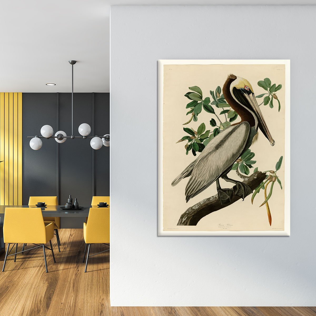 Brown Pelican 2 by Audubon Canvas Print or Poster