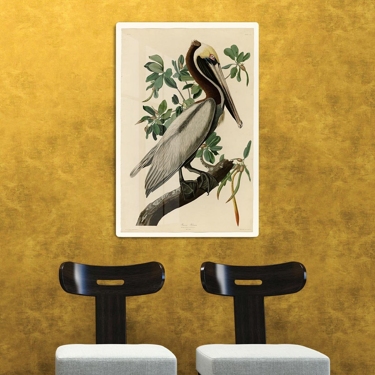 Brown Pelican 2 by Audubon HD Metal Print - Canvas Art Rocks - 2