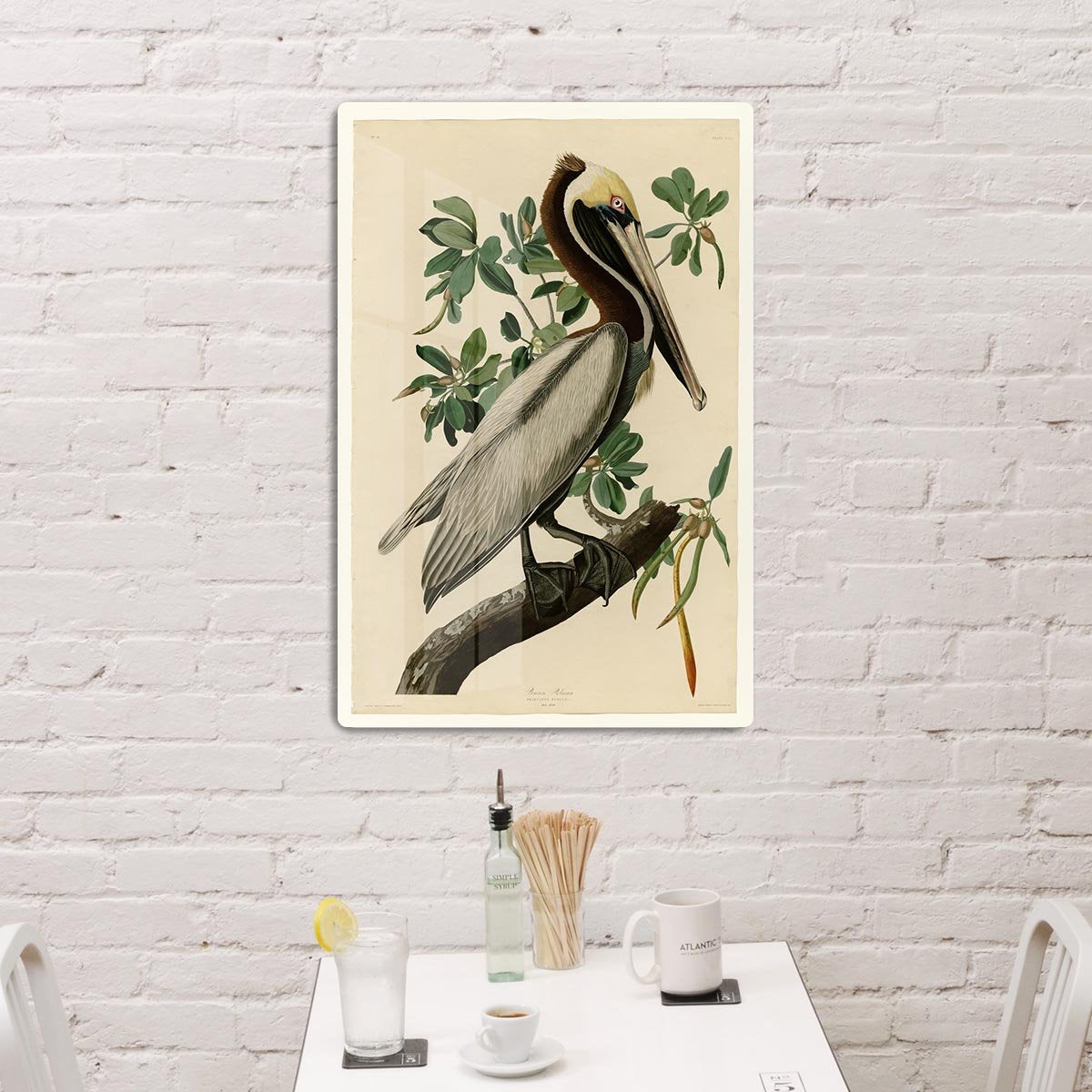 Brown Pelican 2 by Audubon HD Metal Print - Canvas Art Rocks - 3
