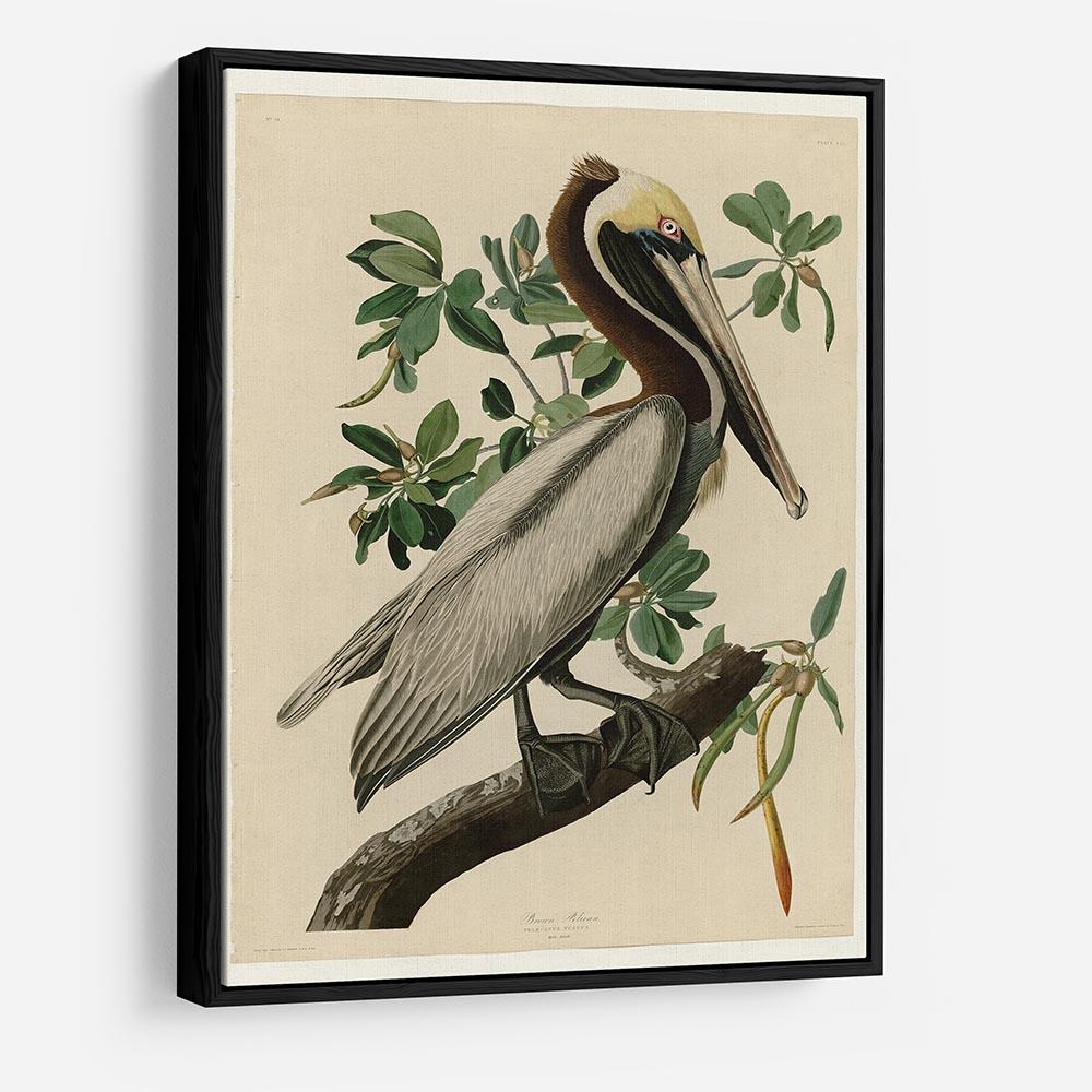 Brown Pelican 2 by Audubon HD Metal Print - Canvas Art Rocks - 6