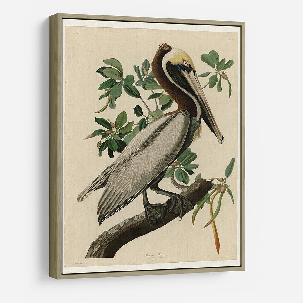 Brown Pelican 2 by Audubon HD Metal Print - Canvas Art Rocks - 8