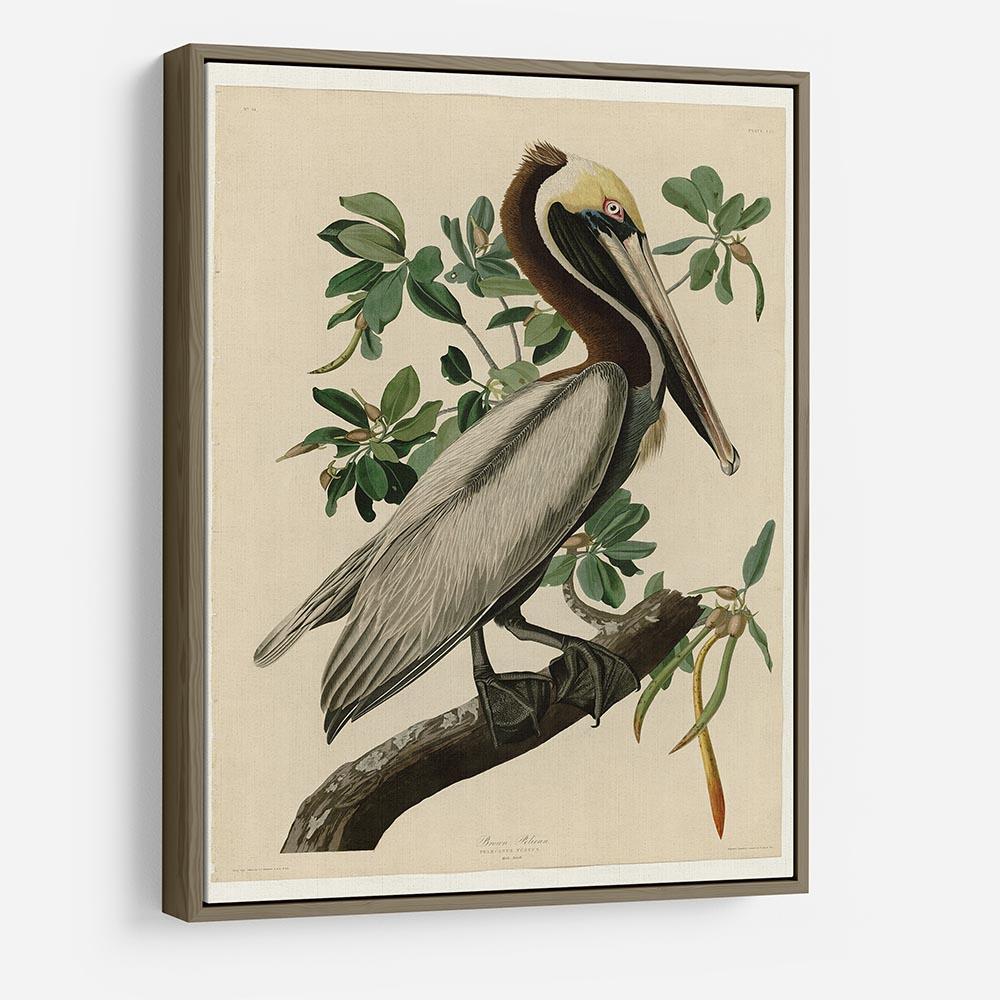 Brown Pelican 2 by Audubon HD Metal Print - Canvas Art Rocks - 10