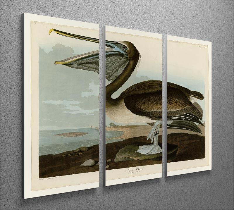 Brown Pelican by Audubon 3 Split Panel Canvas Print - Canvas Art Rocks - 2