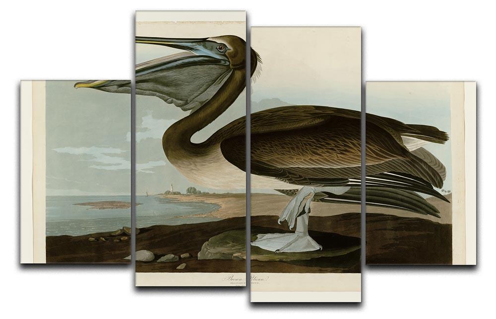 Brown Pelican by Audubon 4 Split Panel Canvas - Canvas Art Rocks - 1