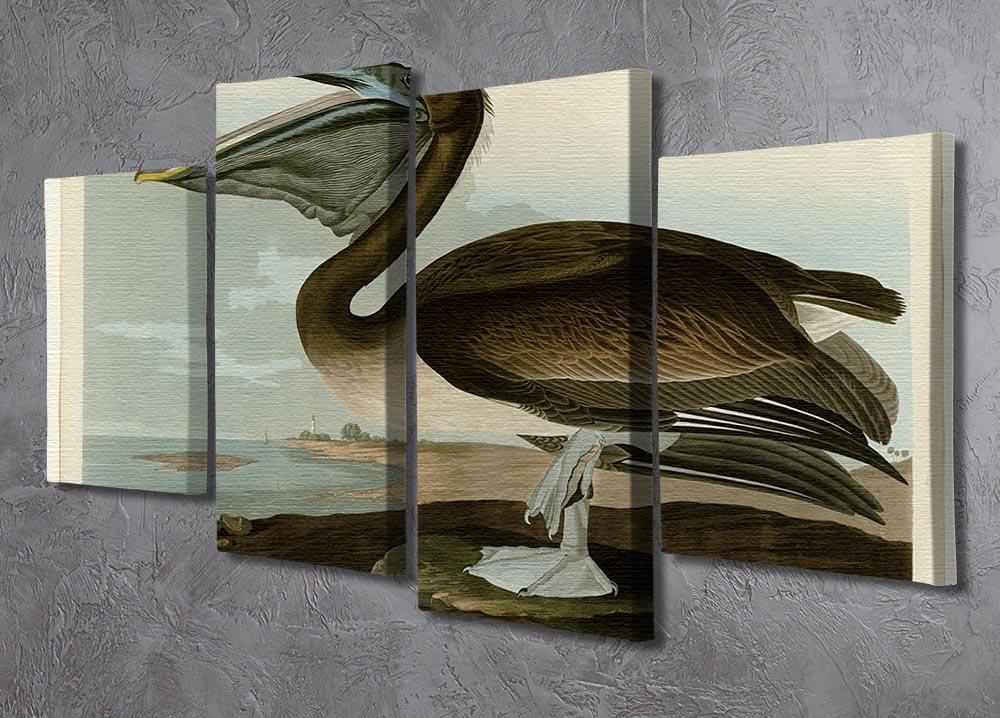 Brown Pelican by Audubon 4 Split Panel Canvas - Canvas Art Rocks - 2