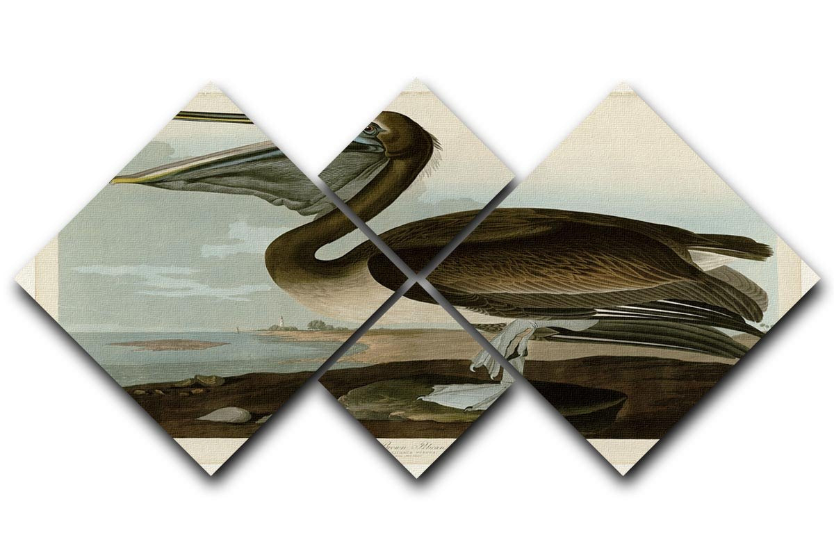 Brown Pelican by Audubon 4 Square Multi Panel Canvas - Canvas Art Rocks - 1